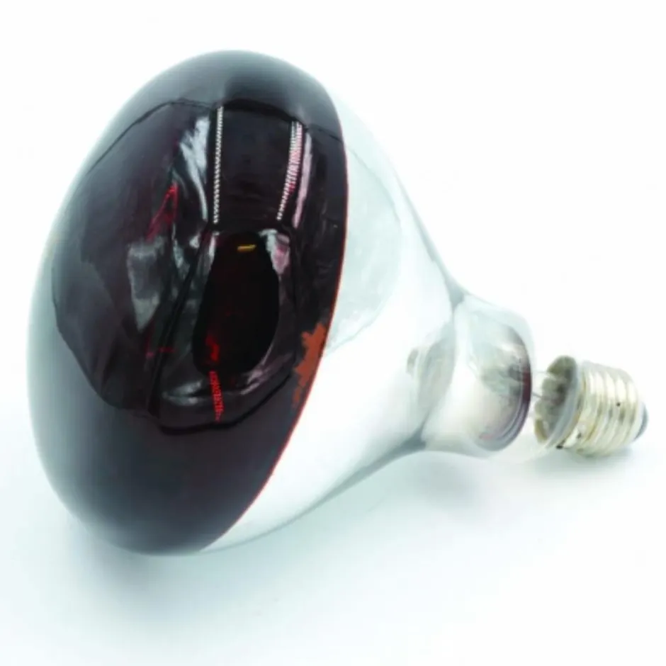 GAUN AMPOULE POUR ELEVEUSE 175W