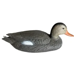 TERZEO CHASSEURS APPELANT CHIPEAU FEMELLE