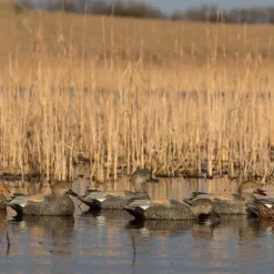 GREENHEAD APPELANT CHIPEAU PRO GRADE 4M+2F