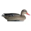 TERZEO CHASSEURS APPELANT COLVERT FEMELLE
