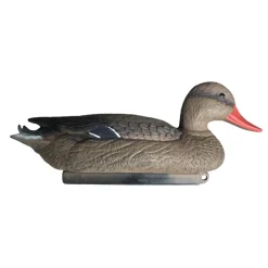 TERZEO CHASSEURS APPELANT COLVERT FEMELLE