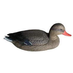 TERZEO CHASSEURS APPELANT COLVERT FEMELLE