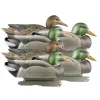 GREENHEAD APPELANT COLVERT LIFE SIZE 4M+2F