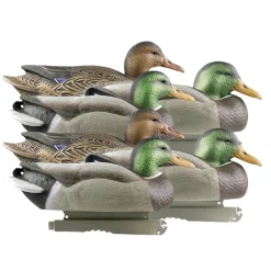 GREENHEAD APPELANT COLVERT LIFE SIZE 4M+2F