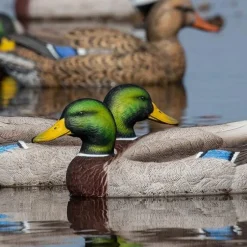 GREENHEAD APPELANT COLVERT LIFE SIZE 4M+2F
