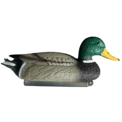 TERZEO CHASSEURS APPELANT COLVERT MÂLE