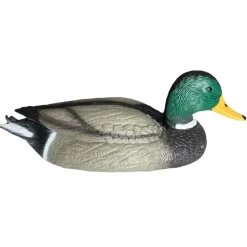 TERZEO CHASSEURS APPELANT COLVERT MÂLE