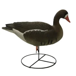 TERZEO CHASSEURS APPELANT OIE RIEUSE HD SUR PIED