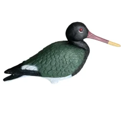 TERZEO CHASSEURS APPELANT PIE DE MER