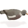 TERZEO CHASSEURS APPELANT PIGEON COQUILLE