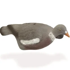 TERZEO CHASSEURS APPELANT PIGEON COQUILLE