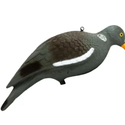 TERZEO CHASSEURS APPELANT PIGEON PICORANT