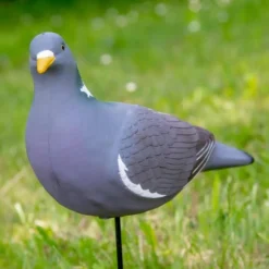 TERZEO CHASSEURS APPELANT PIGEON ULTRA HD