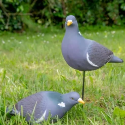 TERZEO CHASSEURS APPELANT PIGEON ULTRA HD PICORANT