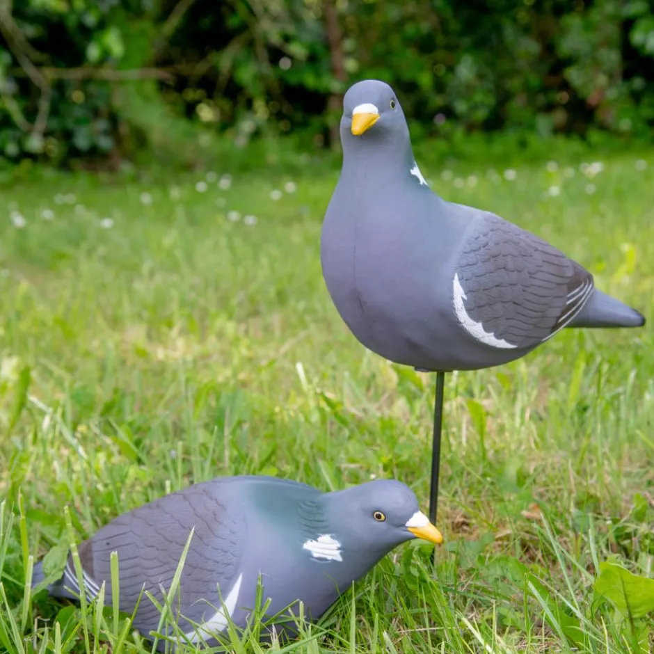 TERZEO CHASSEURS APPELANT PIGEON ULTRA HD PICORANT