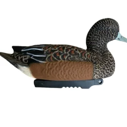 TERZEO CHASSEURS APPELANT SIFFLEUR FEMELLE HD