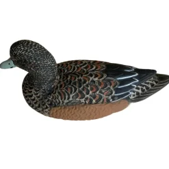 TERZEO CHASSEURS APPELANT SIFFLEUR FEMELLE HD