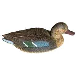 TERZEO CHASSEURS APPELANT SOUCHET FEMELLE