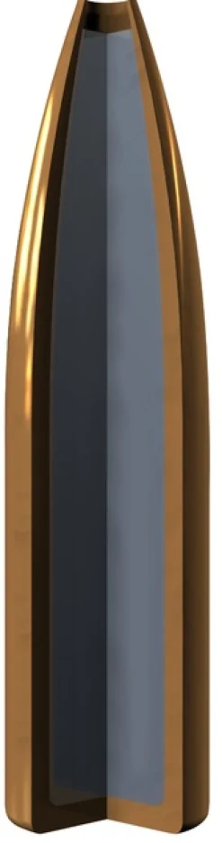 WINCHESTER BALLES 30-06 POWERMAX BD 180GR