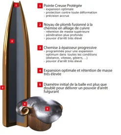WINCHESTER BALLES 30-06 POWERMAX BD 180GR