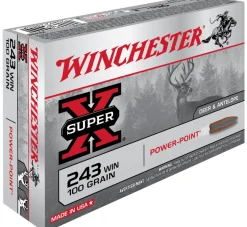 WINCHESTER BALLES 243WIN PP 100GR