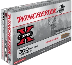 WINCHESTER BALLES 300WM PP 180GR