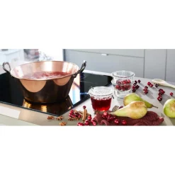 CUIVRES DE FRANCE BASSINE A CONFITURE CUIVRE TOUS FEUX 3L 26CM