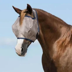 HORSEWARE BONNET SANS OREILLES MIO
