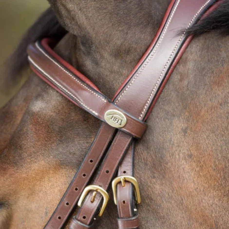 HFI BRIDON ANATOMIC HAVANE