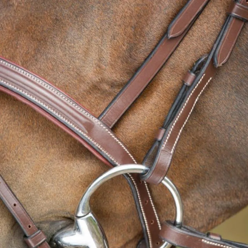 HFI BRIDON ANATOMIC HAVANE