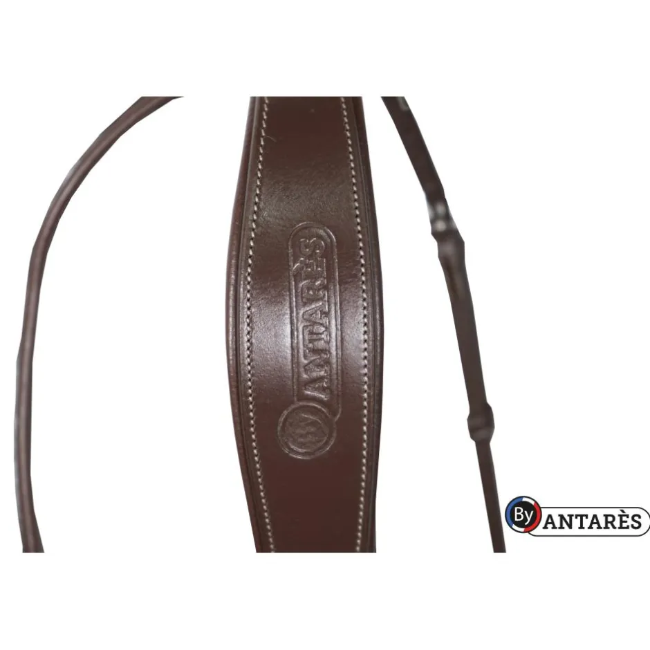 ANTARES BRIDON COMBINE SIGNATURE HAVANE