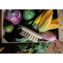 ANDREE JARDIN BROSSE A LEGUMES EN BOIS HETRE