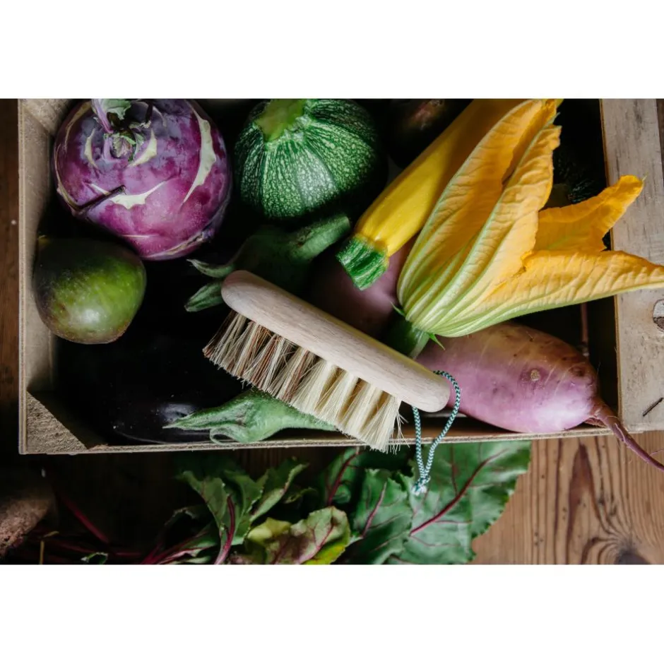 ANDREE JARDIN BROSSE A LEGUMES EN BOIS HETRE
