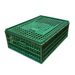 TERZEO VOS ANIMAUX CAGE TRANSPORT COLVERT 96X57X27CM