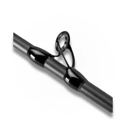 LMAB CANNE CAST LA MOUSTIQUE 2M30 40-150G