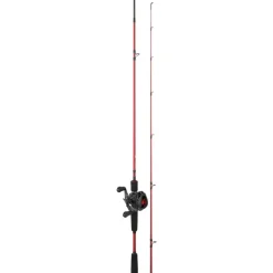 DAIWA CANNE CASTING + MOULINET PR