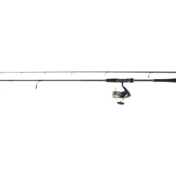 DAIWA CANNE CT SEABASS + MOULINET TSUKI