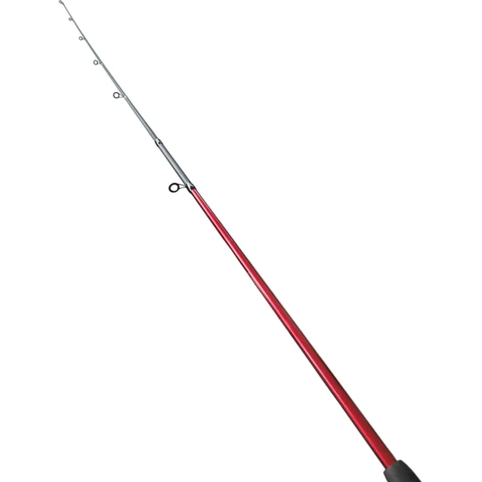 TERZEO PÊCHEURS CANNE EMMANCHEMENT + MOULINET
