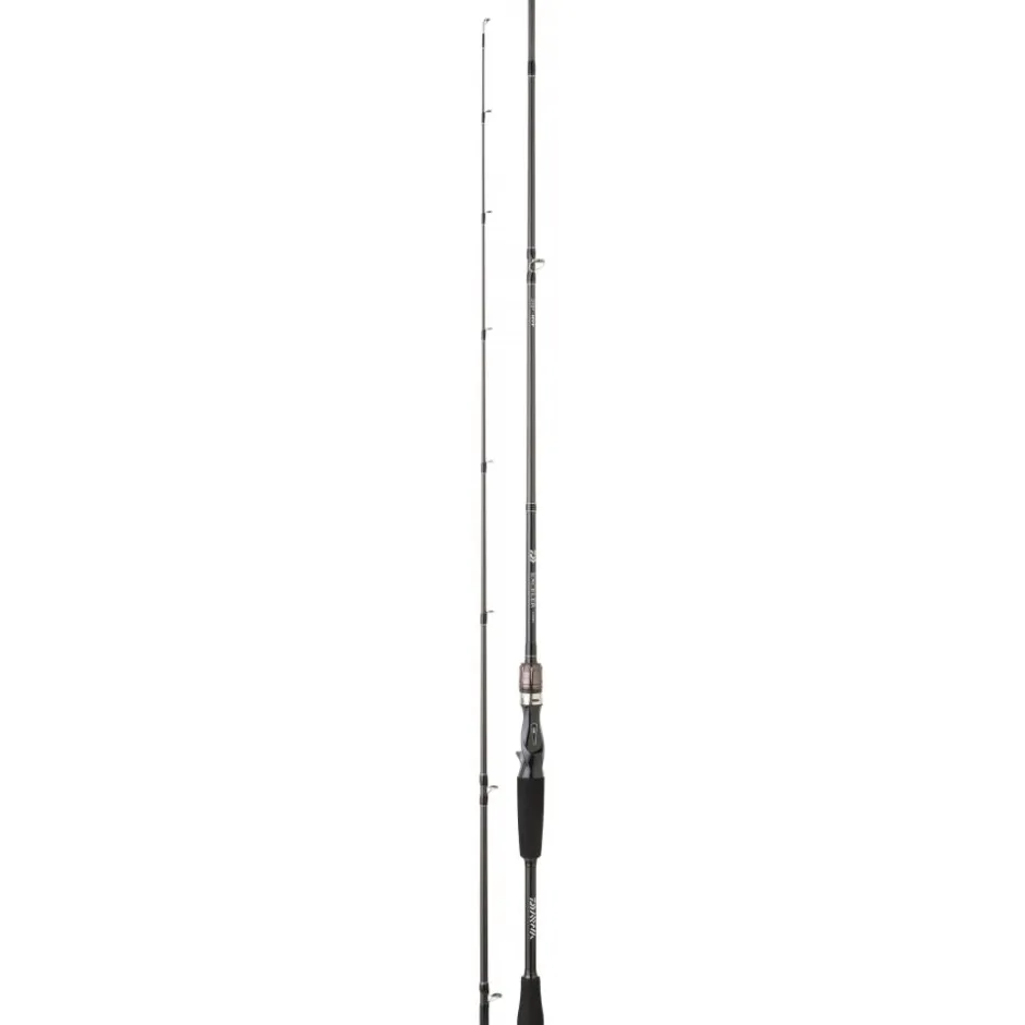 DAIWA CANNE EXCELER CASTING 1M98 7-28G