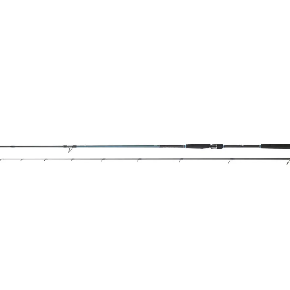 DAIWA CANNE SPINNING CALDIA SEABASS 2M13 14-42G
