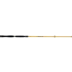 ILLEX CANNE SPINNING ELEMENT RIDER X5 S 215 H THUNDER BOLT