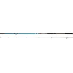 DAIWA CANNE SPINNING SPITFIRE SEABASS 2M13 28-84G
