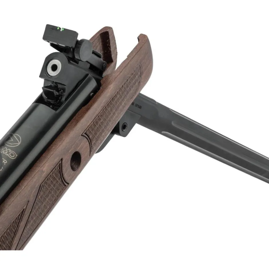 GAMO CARABINE HUNTER BOIS 19.9 +3-9X40