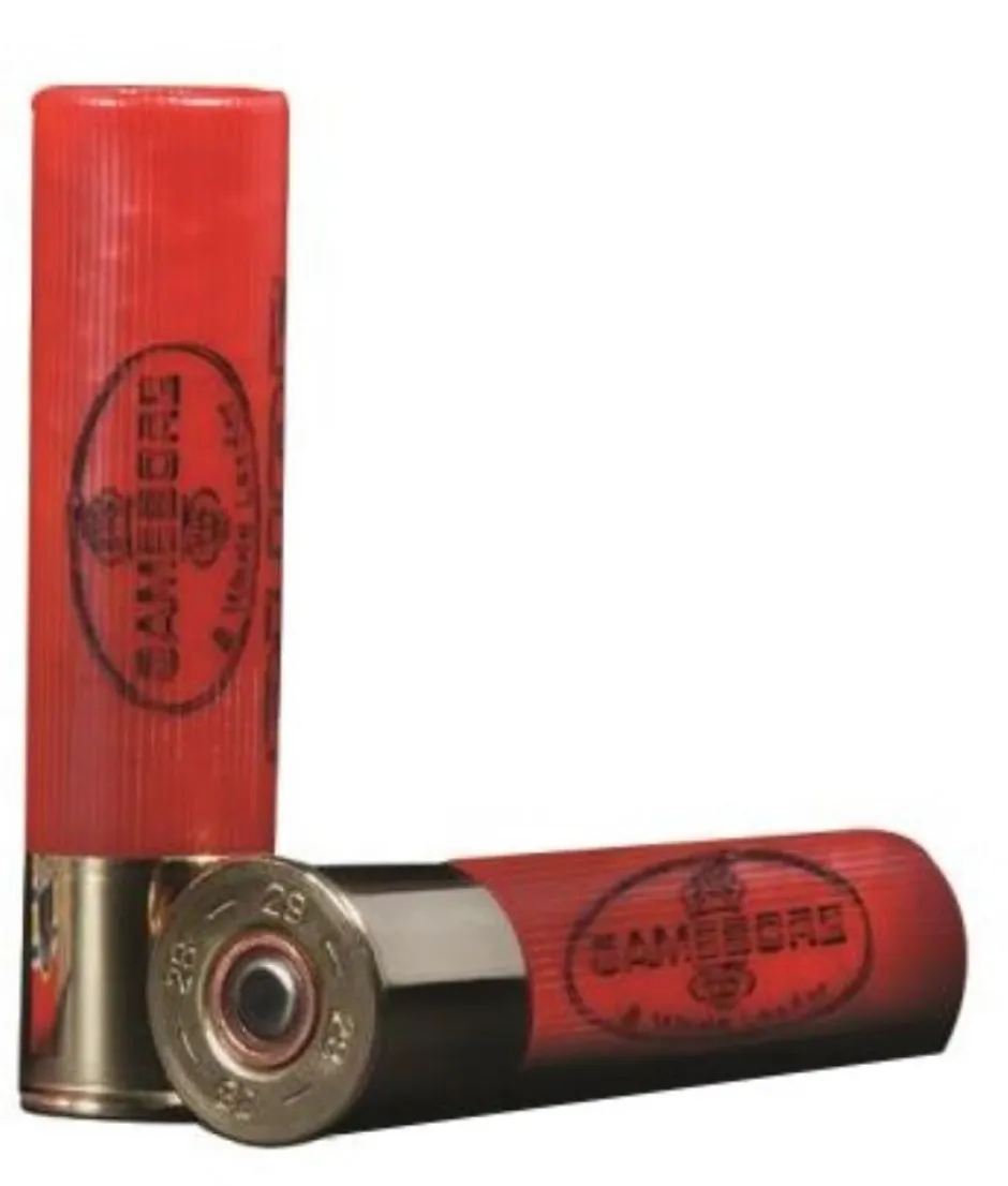 GAMEBORE CARTOUCHES REGAL 28/70 21G BJ X25