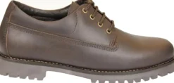 Homme CHESTER CHAUSSURE BASSE MANOIR MARRON