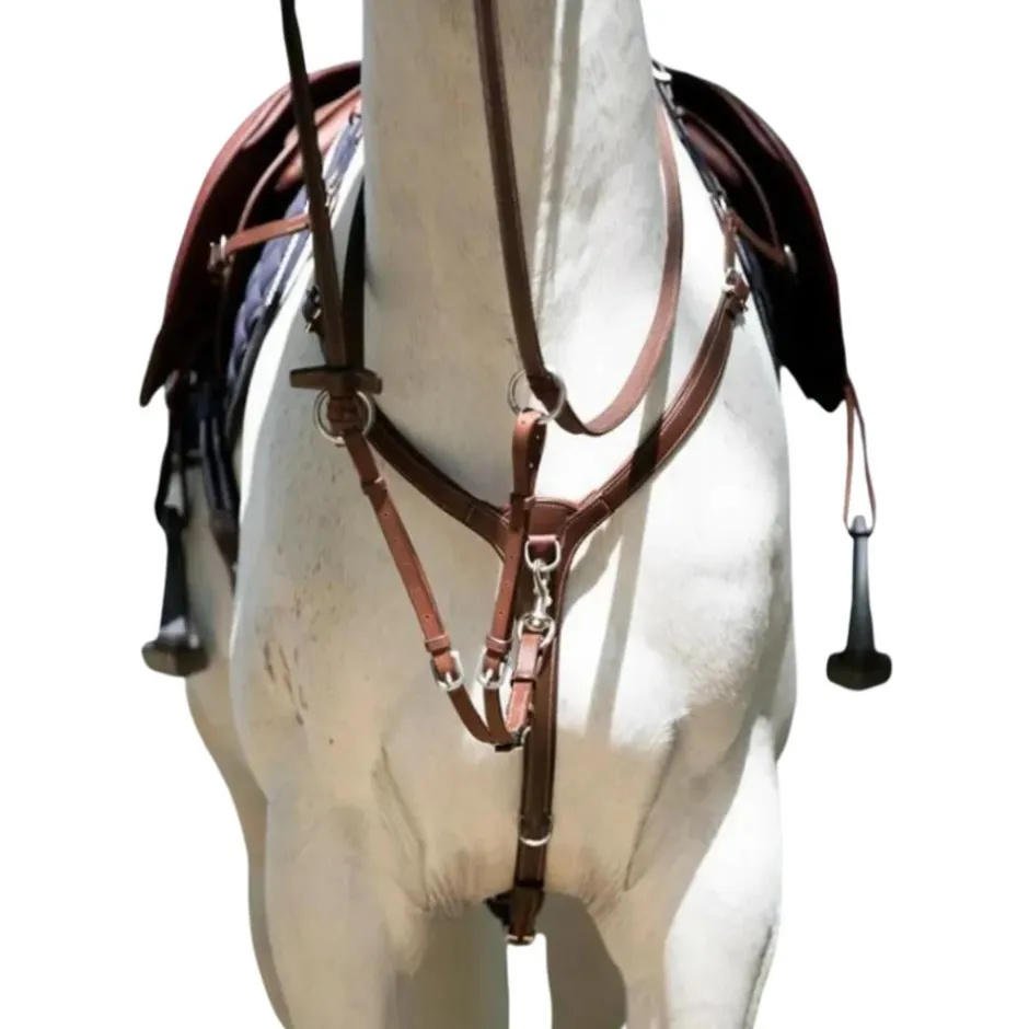 ANTARES COLLIER DE CHASSE A PONT HAVANE