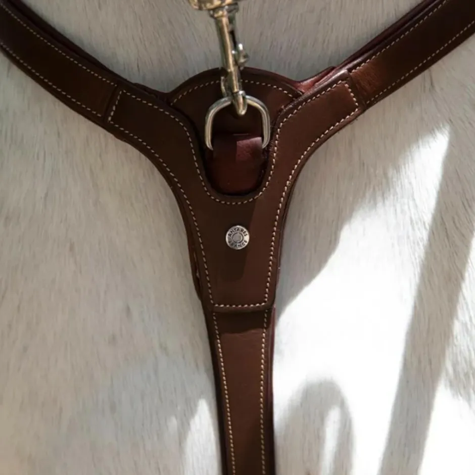 ANTARES COLLIER DE CHASSE A PONT HAVANE