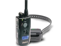 DOGTRA COLLIER DRESSAGE 640C 1 CHIEN 600M