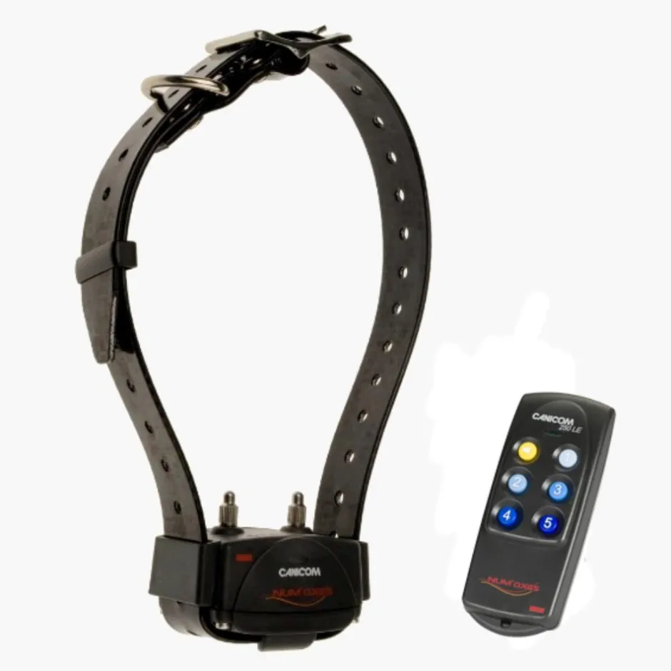 NUM'AXES EDUCATION COLLIER DRESSAGE CANICOM 250 LE