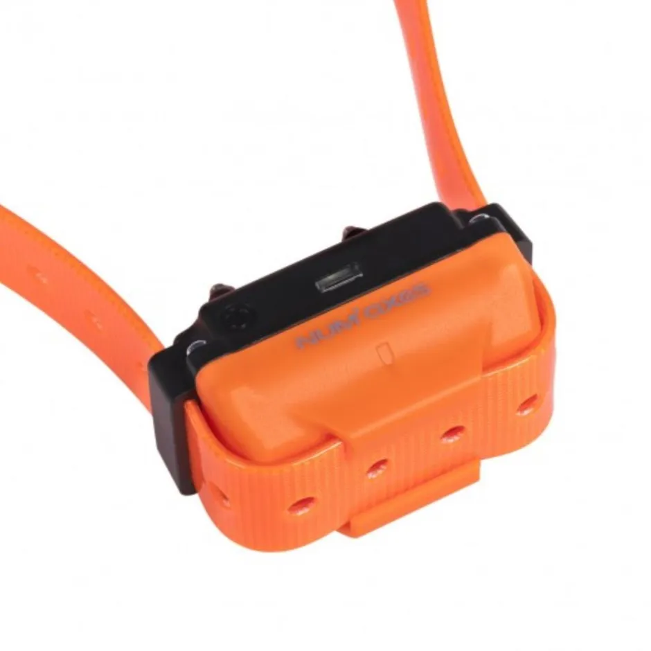 NUM'AXES EDUCATION COLLIER DRESSAGE CANICOM R-800